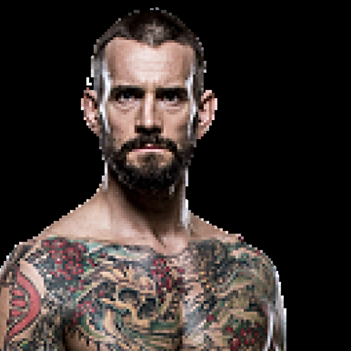 CM Punk profile