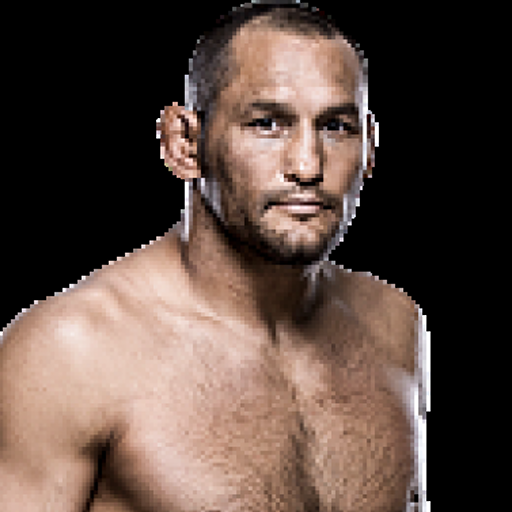 Dan Henderson profile