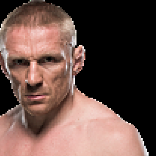 Dennis Siver profile