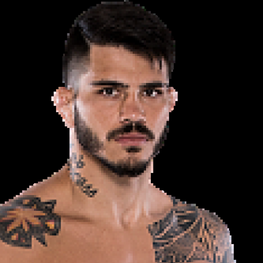 Erick Silva profile