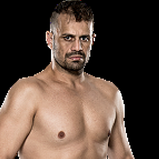 Fabio Maldonado profile