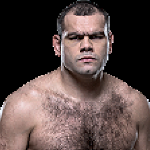 Gabriel Gonzaga profile