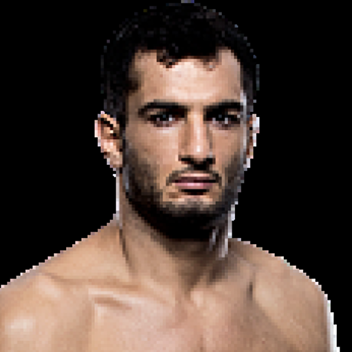 Gegard Mousasi profile