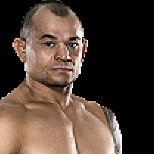 Gleison Tibau profile