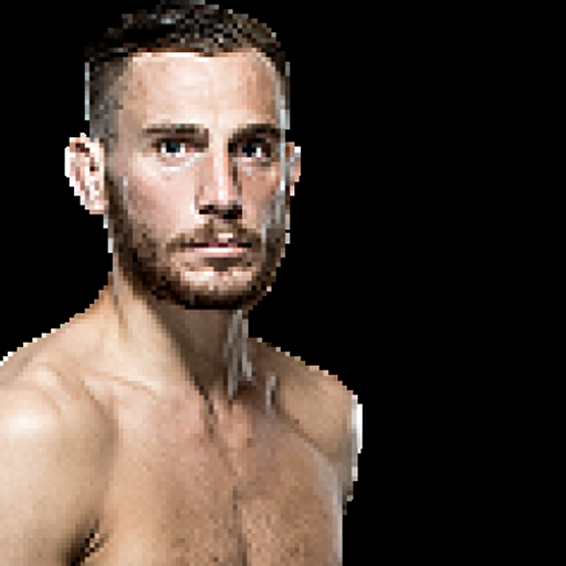 Mickael Lebout profile