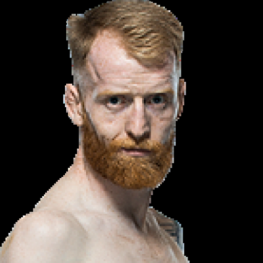Paddy Holohan profile