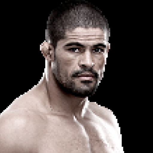 Rousimar Palhares profile