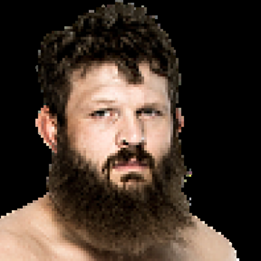 Roy Nelson profile