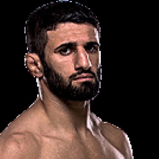 Sirwan Kakai profile